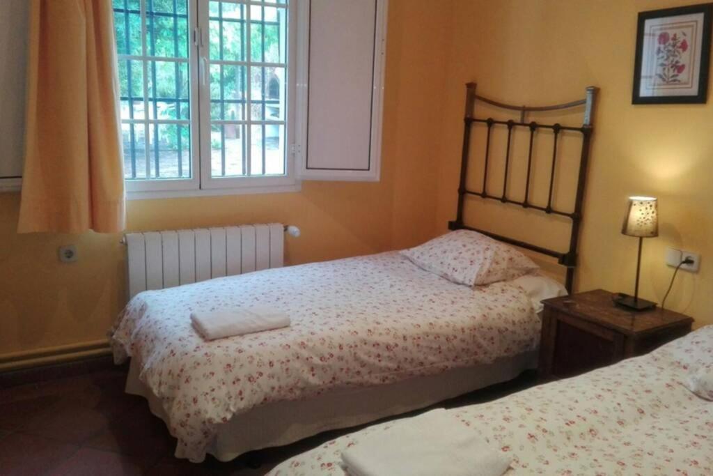 Casa Rural La Vega Cazalla de la Sierra Eksteriør billede