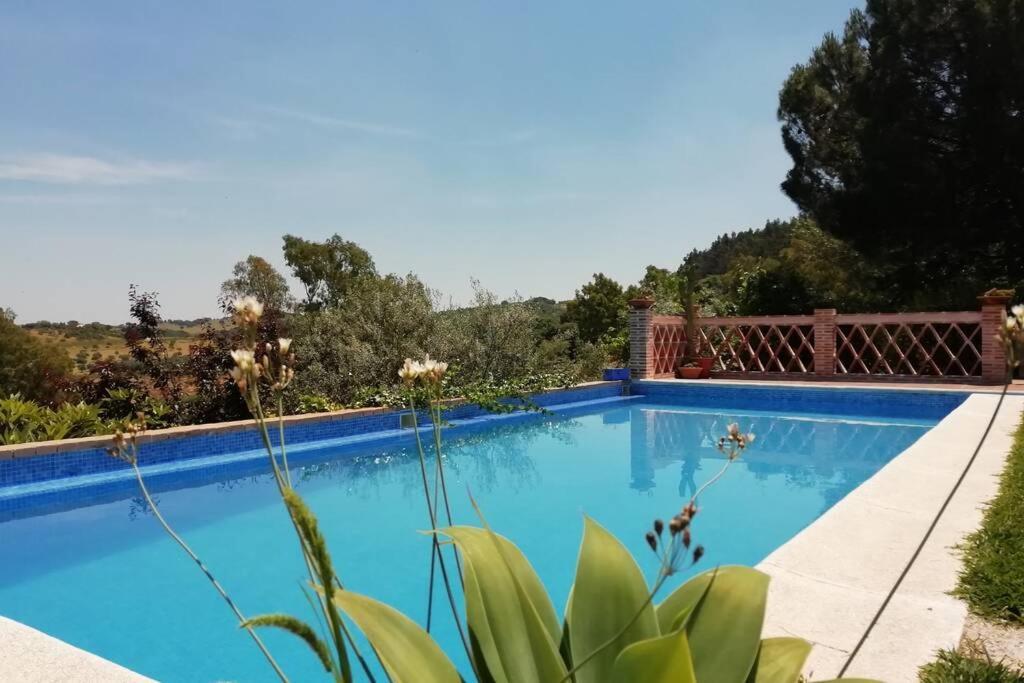 Casa Rural La Vega Cazalla de la Sierra Eksteriør billede