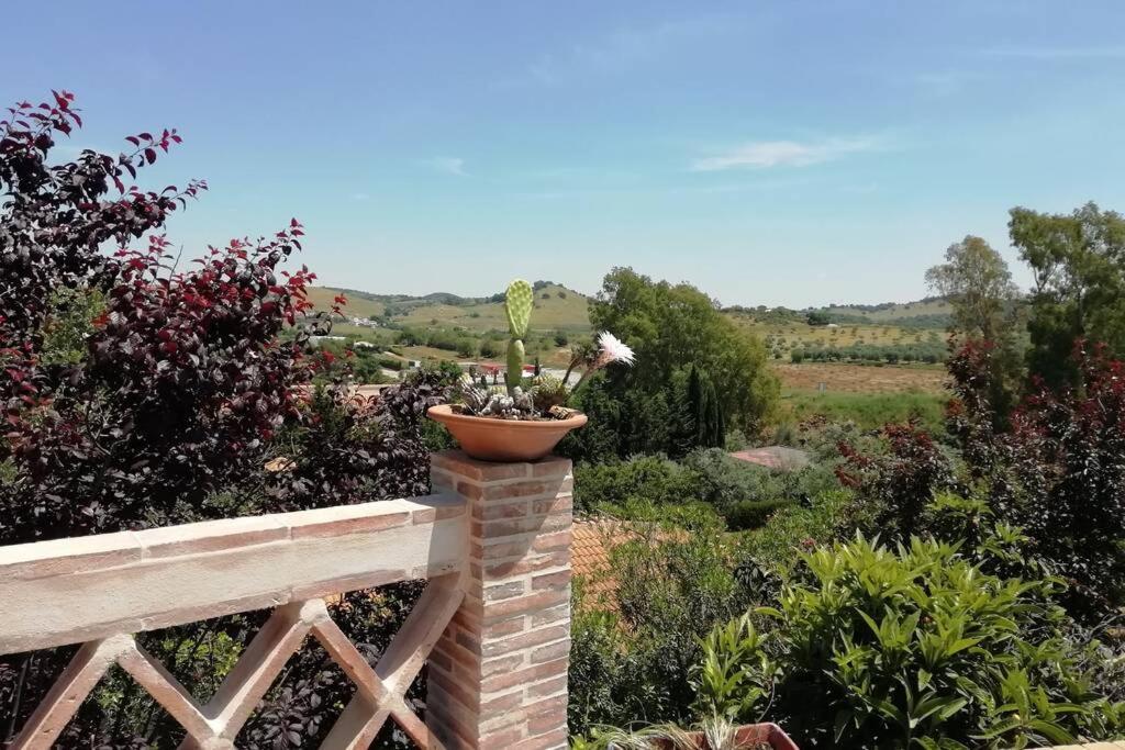 Casa Rural La Vega Cazalla de la Sierra Eksteriør billede